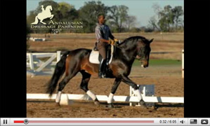 Andalusian Dressage Partners Farm Video